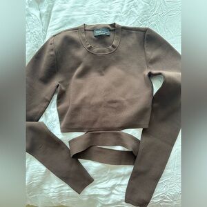 Aritzia Babaton Brown Crop Top XS